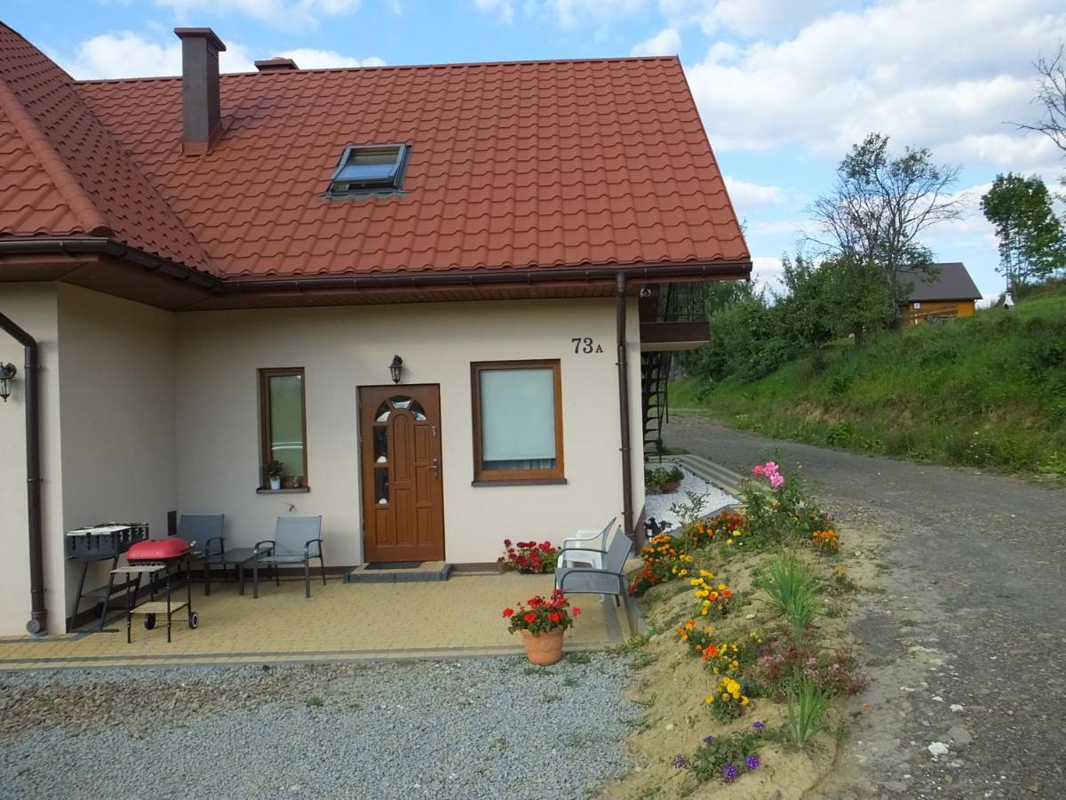 Pensjonat Na Zielonym Wzgorzu Zawóz Exterior foto